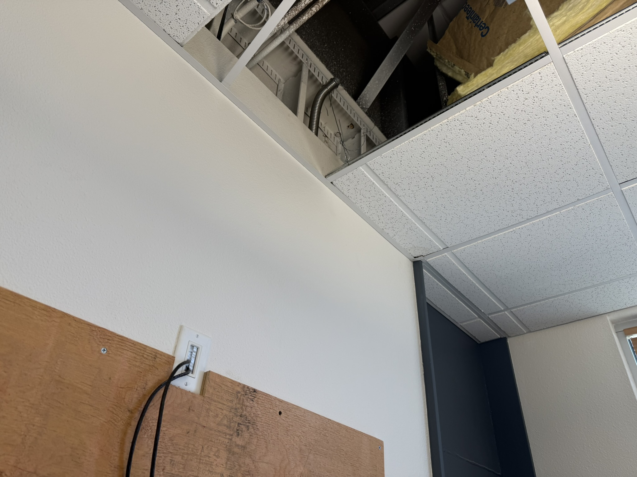 Dassault Systèmes Paso Robles wall and ceiling coordination | In Progress